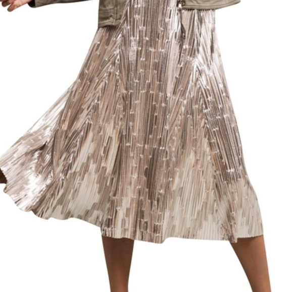 Anthropologie Dresses & Skirts - Anthro Maeve. Metallic pleated midi/maxi skirt.